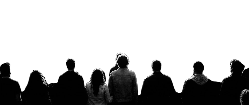 Audience silhouettes